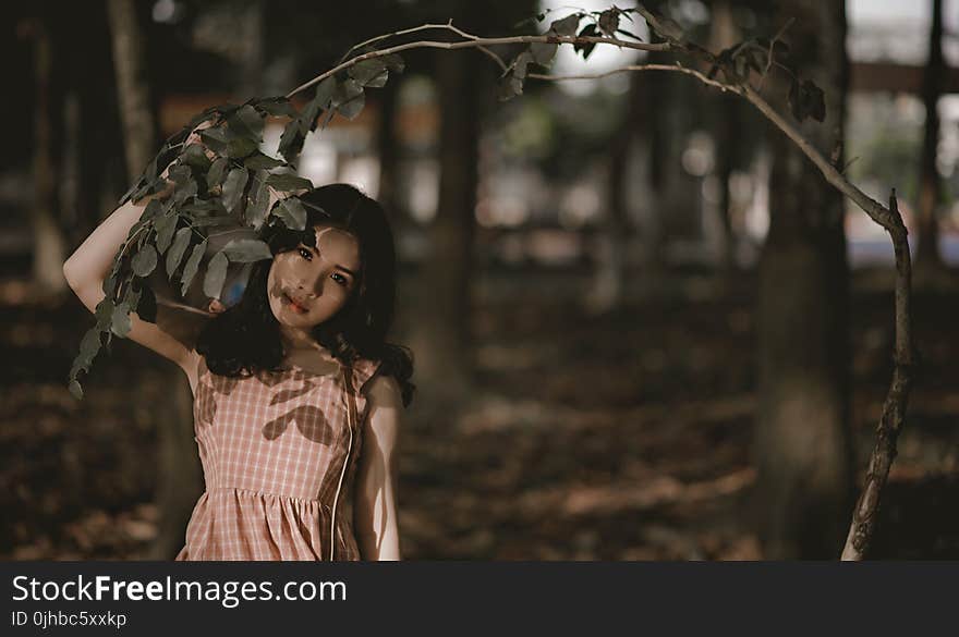 Woman Holding Green Leafed Tree