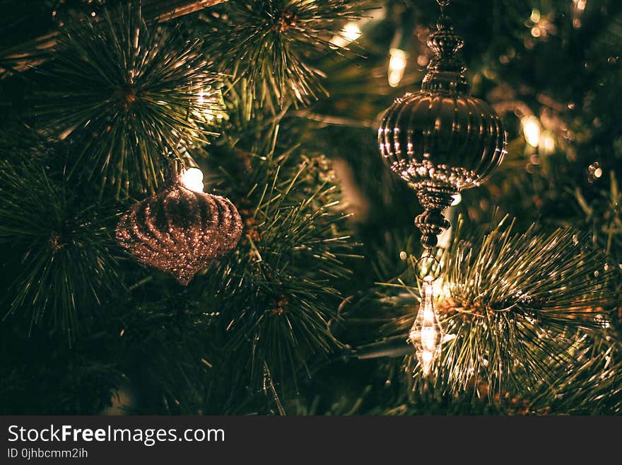 Selective Focus Photography of Christmas Baubles With String Lights