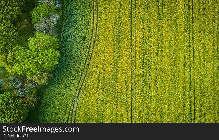 Aerial Photography of Wide Green Grass Field