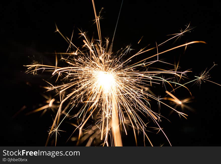 Macro Photography of Firecracker