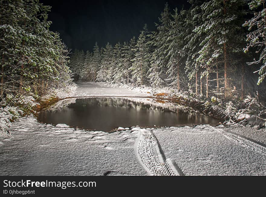 Roadway Filled by Snow Surrounded by Pine Trees Landscape Photography