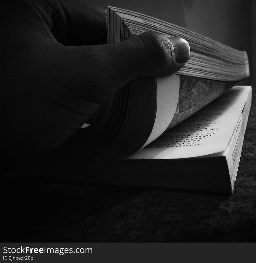 Person Holding Book