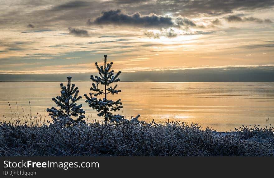 Lake View during Sunset Photo