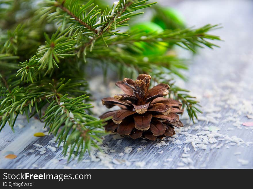 Brown Pine Cone With Pine Tree Leaves Shallow Focus Photography