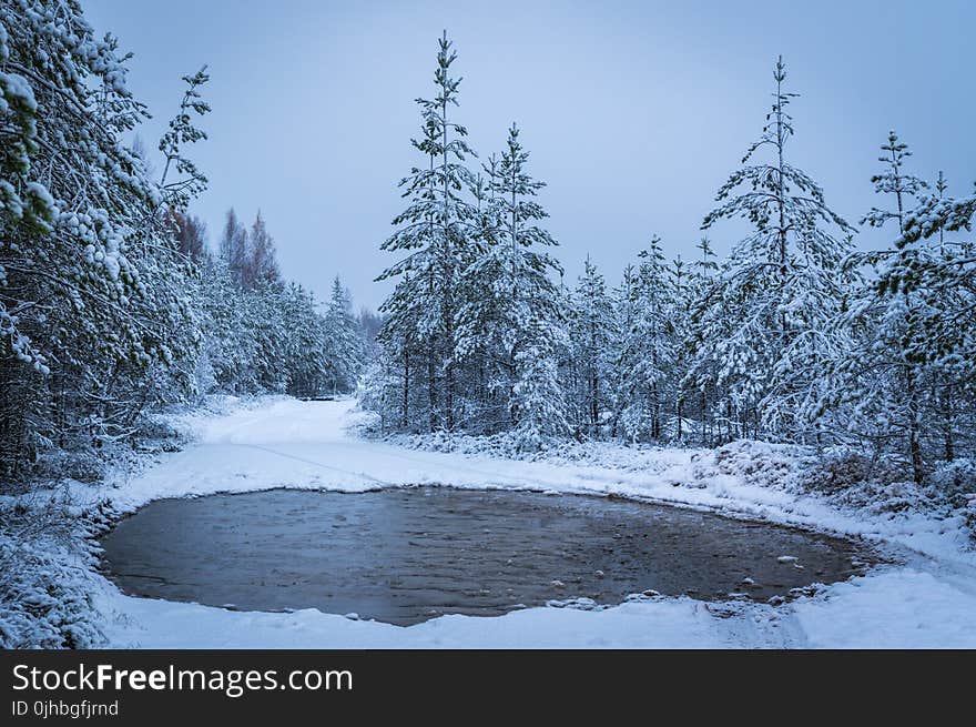 Grayscale Photography of Lake Surrounded With Trees