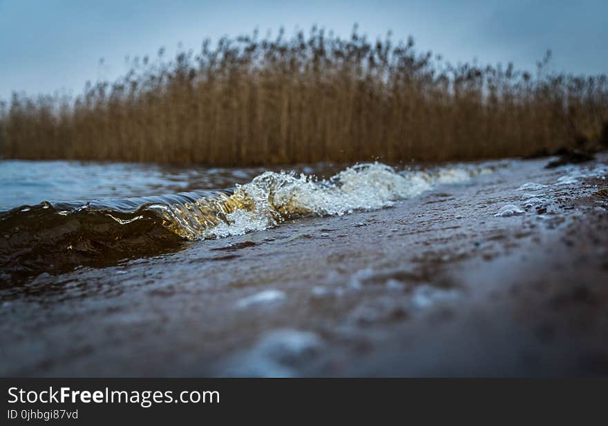 Selective Focus Photography of Sand Near Body of Water