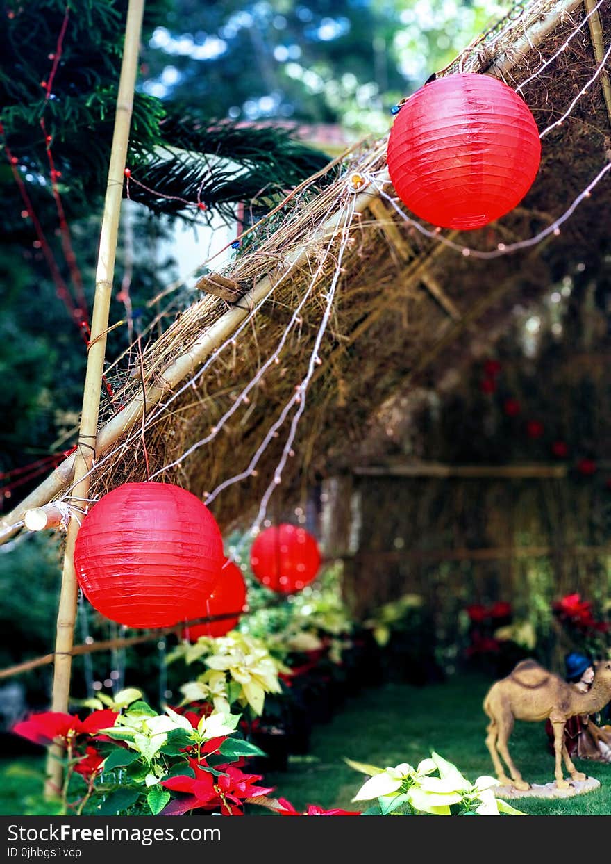 Two Red Ball Lanterns