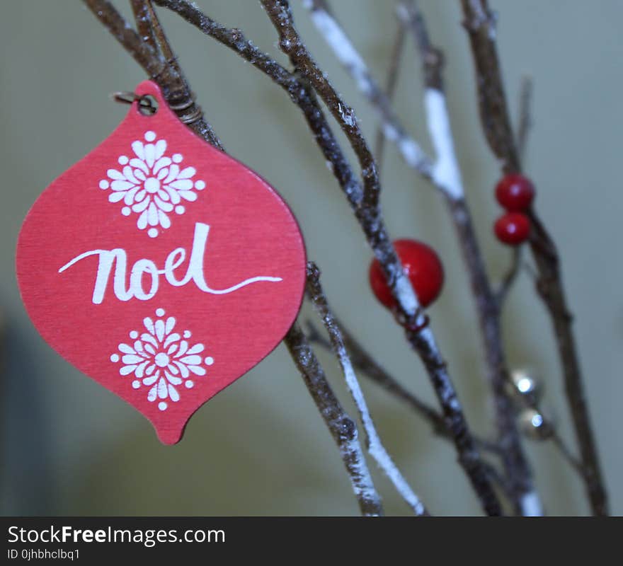 Red and White Noel Print Decor