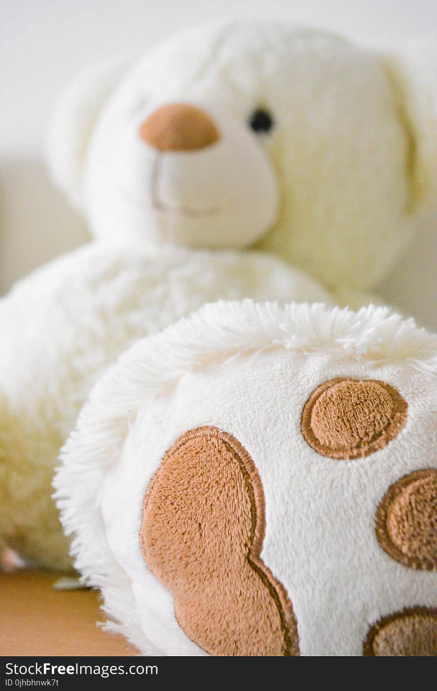 White and Brown Bear Plush Toy Selective Photo