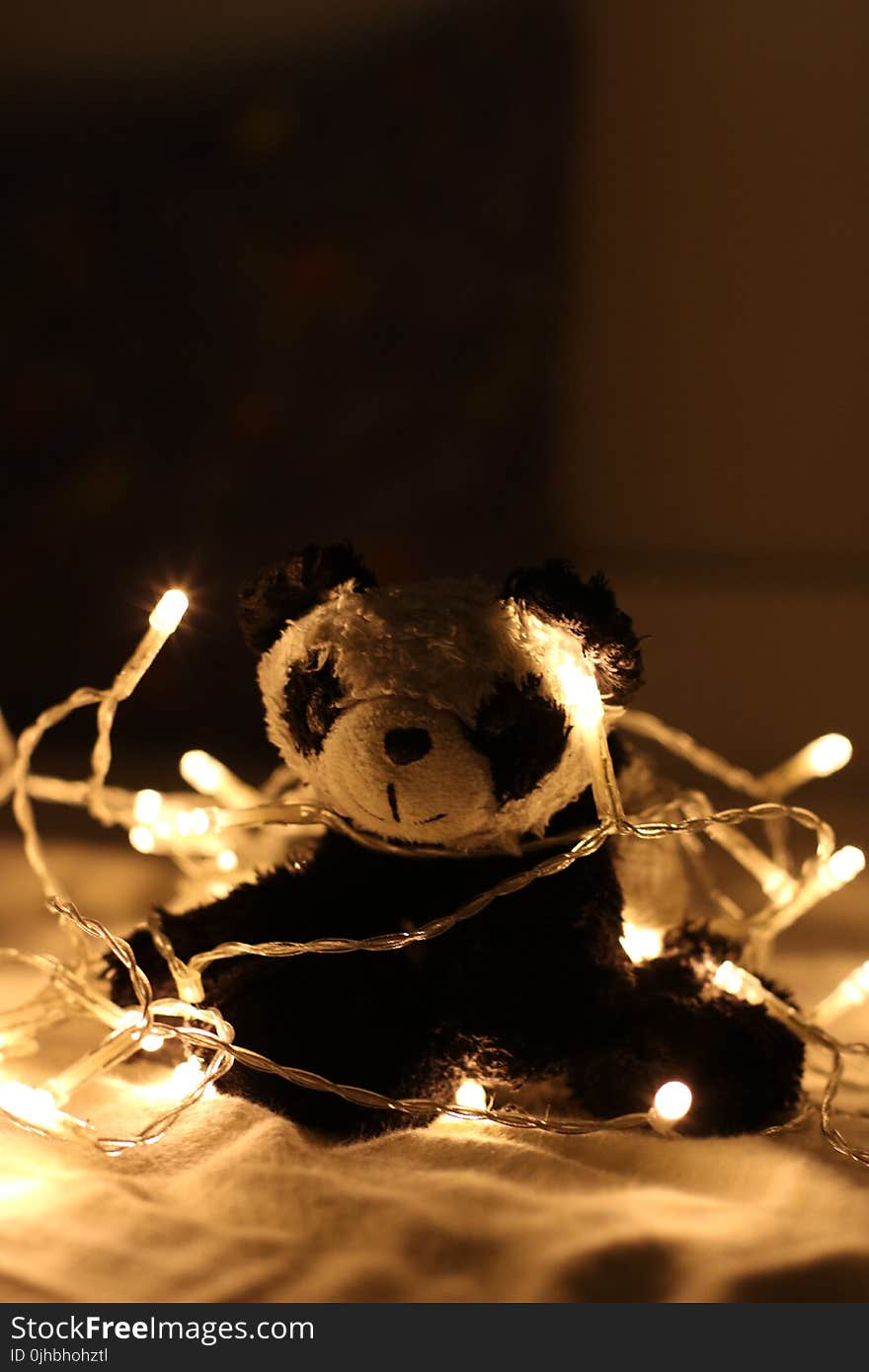 Panda Plush Toy Surrounded by Beige Light Strings