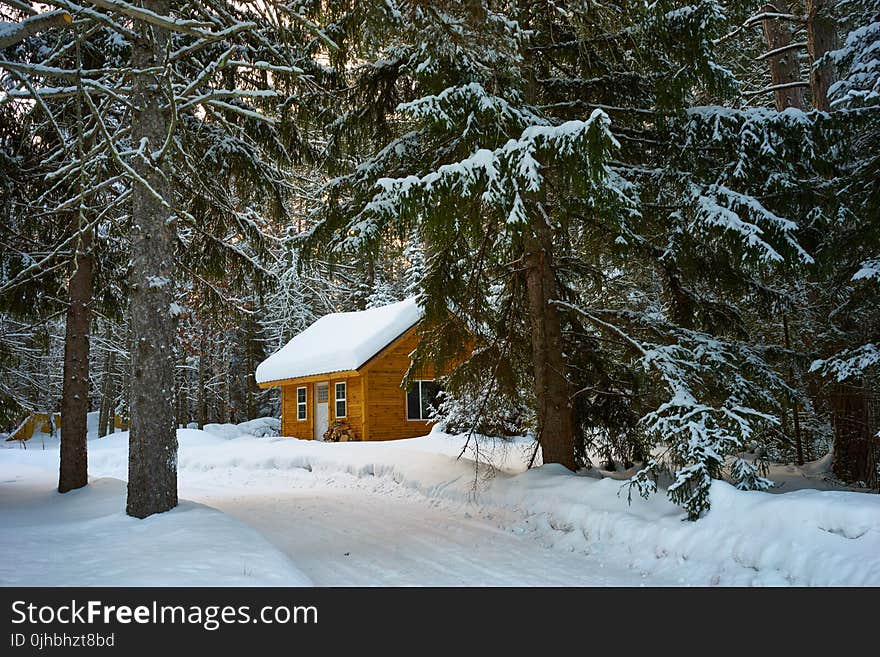 Brown House Near Pine Trees Covered With Snow