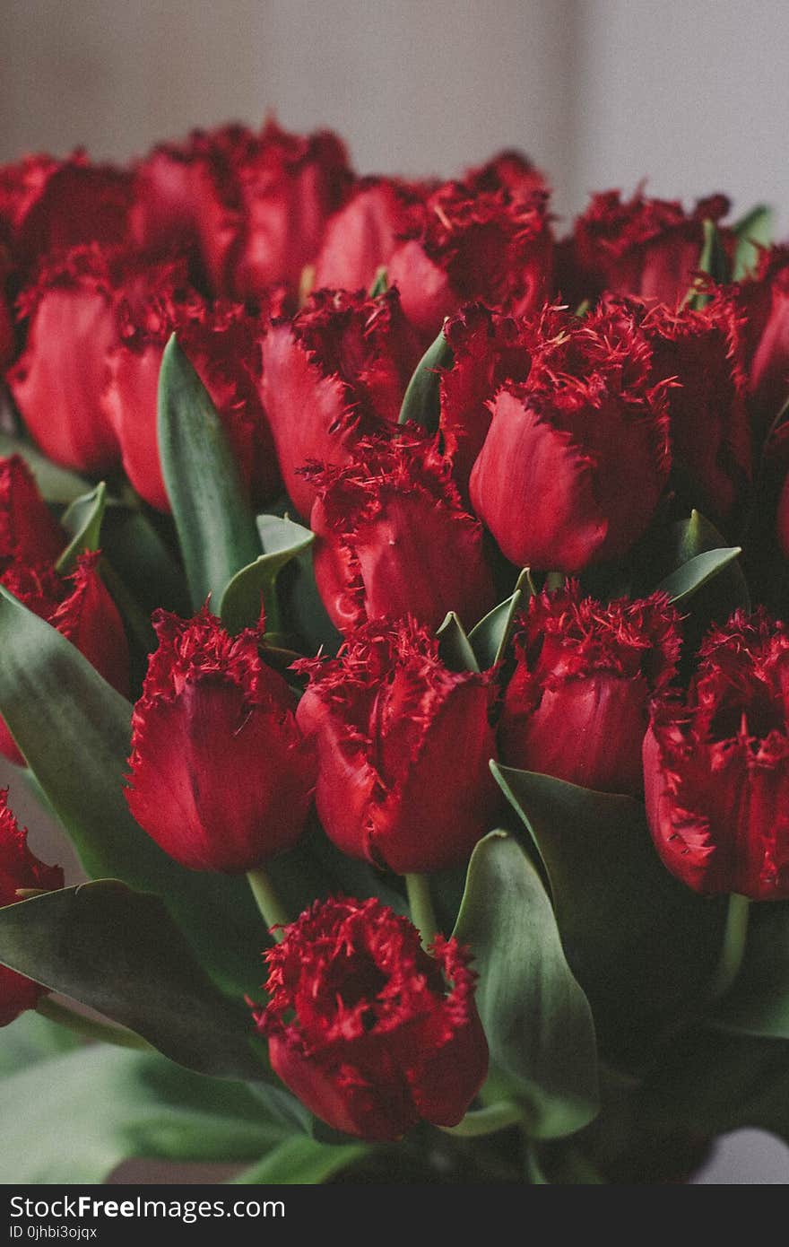 Artificial Red Tulips