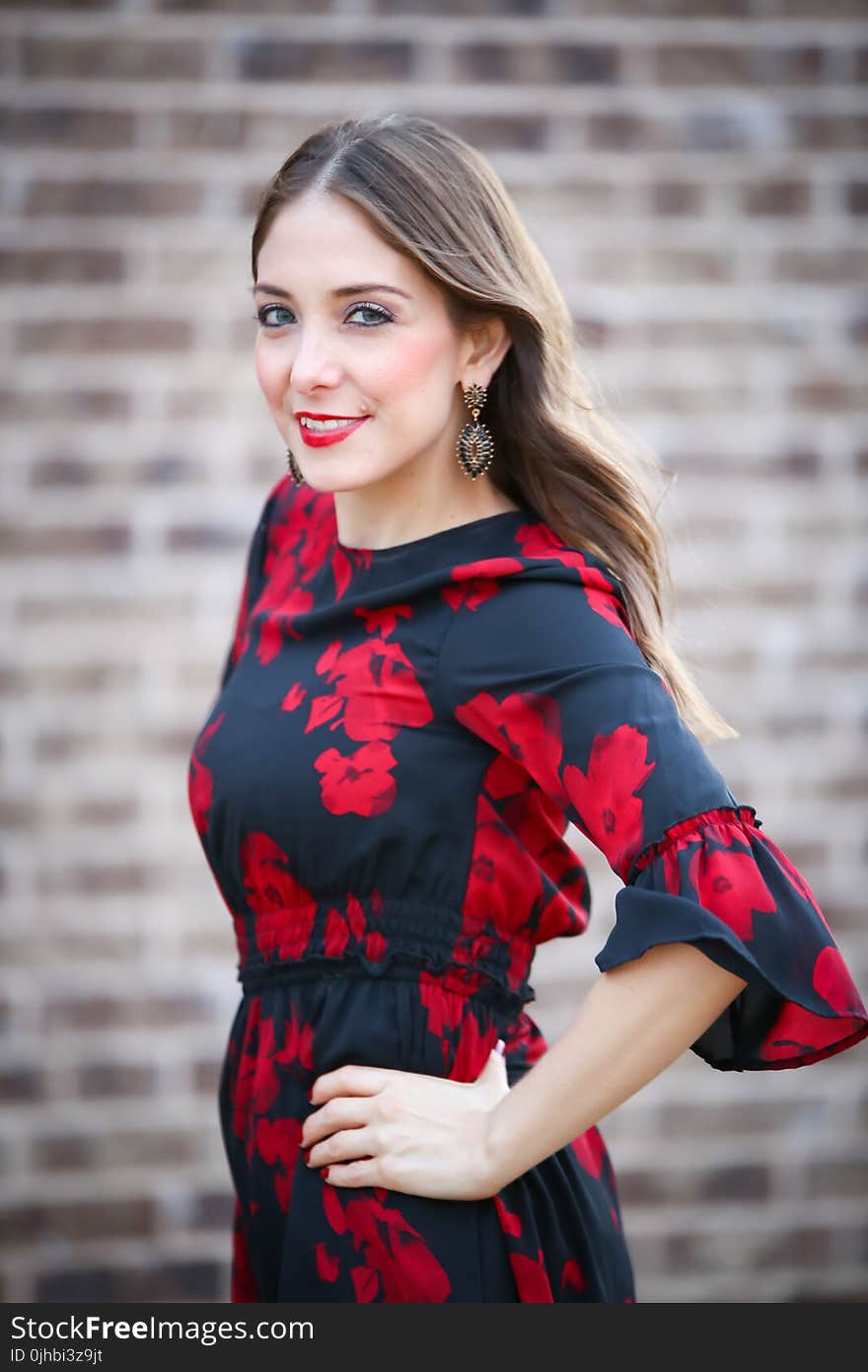 Woman in Black and Red Floral Half-sleeved Dress