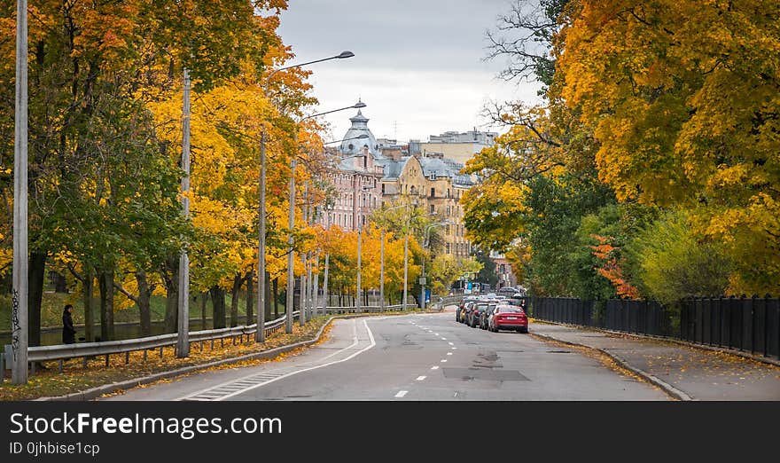 Gray and Blue Concrete Building Surrounded With Yellow Leafed Trees at Daytime