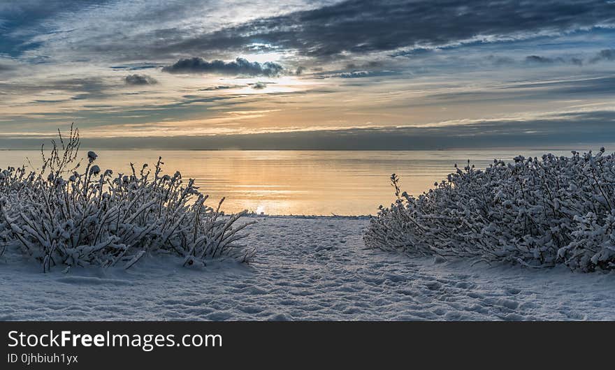 Seashore Photo