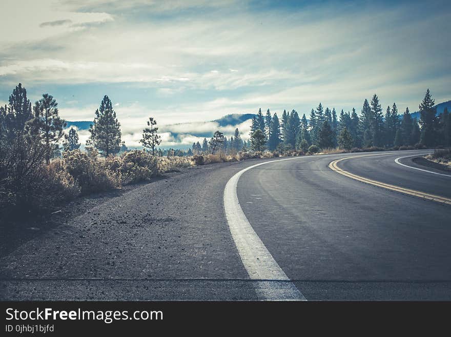 Gray Concrete Road Near Forest