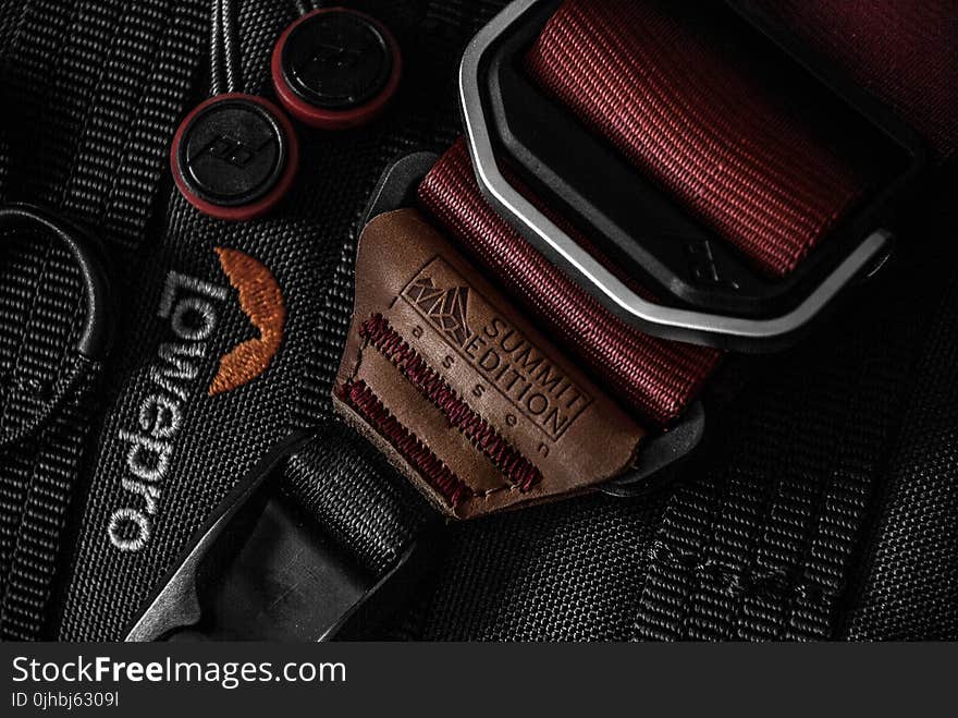 Black Lowepro Belt