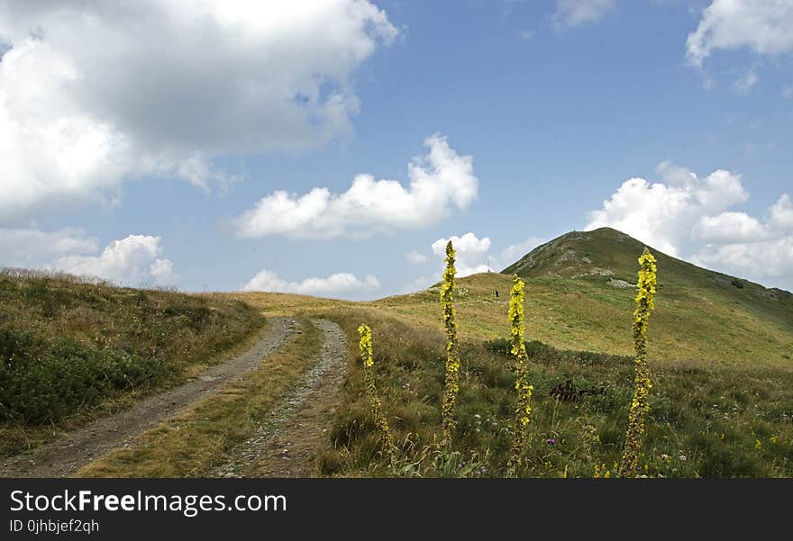 Landscape Photography Of Roadway Beside Mountain