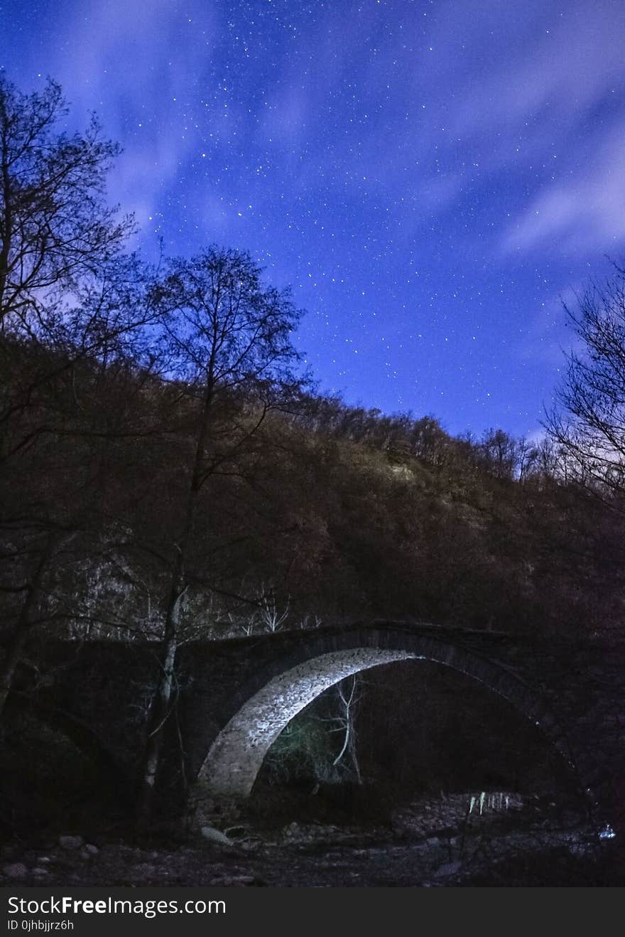 Gray Concrete Bridge Near Trees