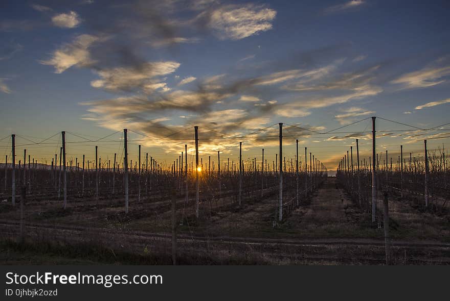 Scenery Fences Overseeing Orange Sunset