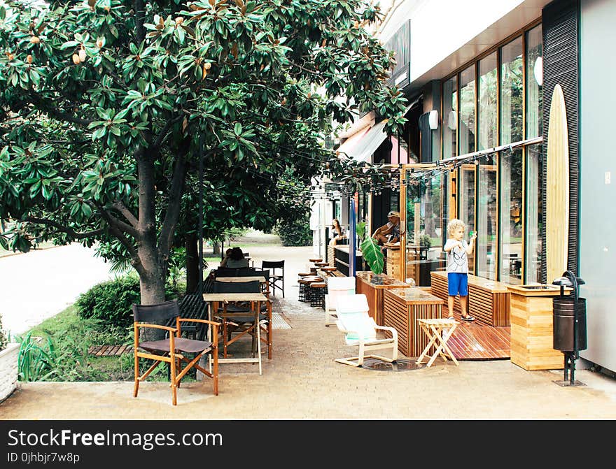 Child Outside Building Near Wooden Furniture and Tree