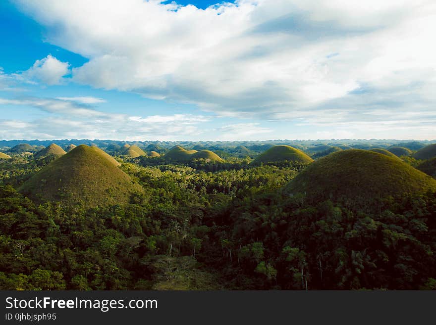 Scenic View of Hills Surrounded By Trees