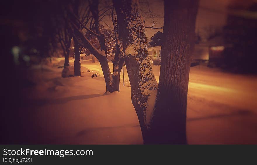 Pavement Covered With Snow Beside Road