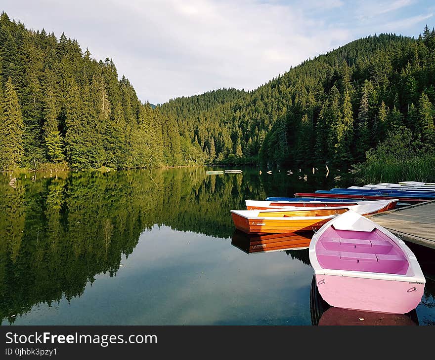 Boats On Calm Body Of Water Surrounded By Trees