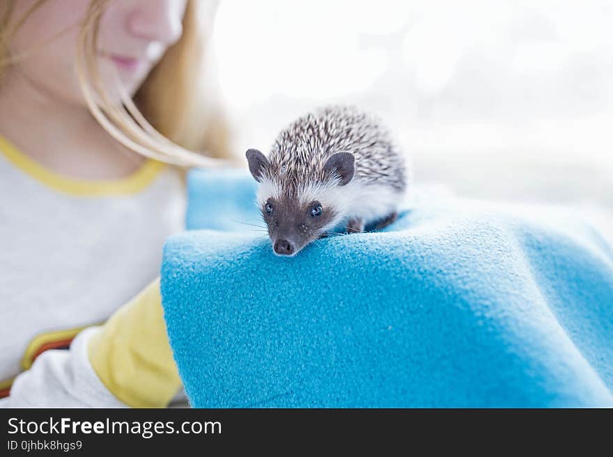 Woman Near Brown and White Rodent