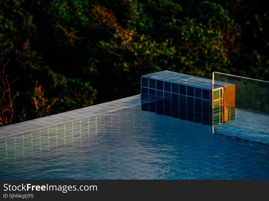 Person Showing Swimming Pool