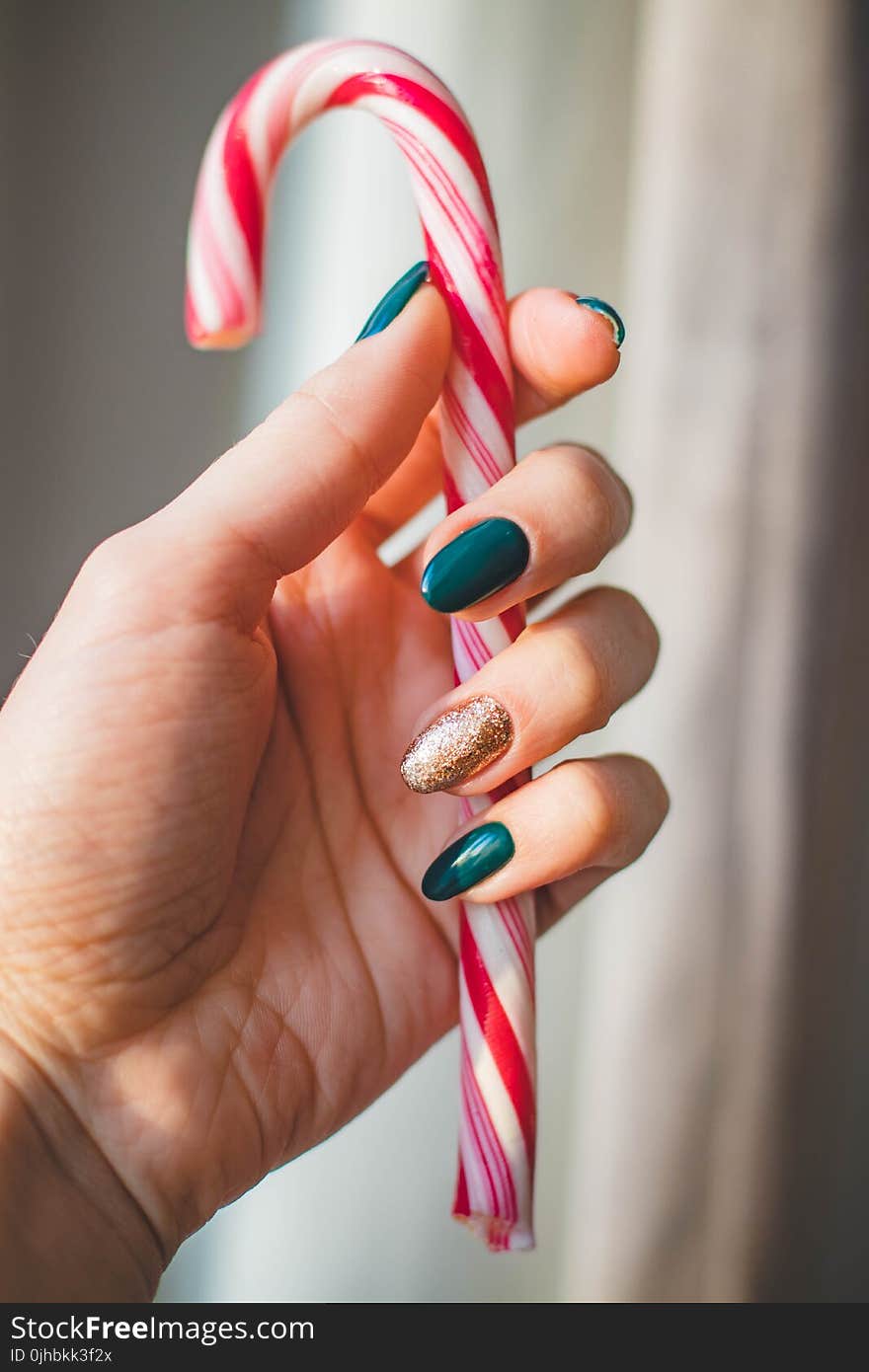 Person Showing White and Red Candy Cane