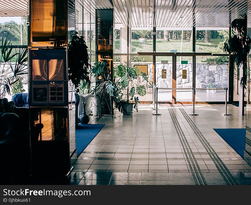 Photo of Plants Near the Glass Door