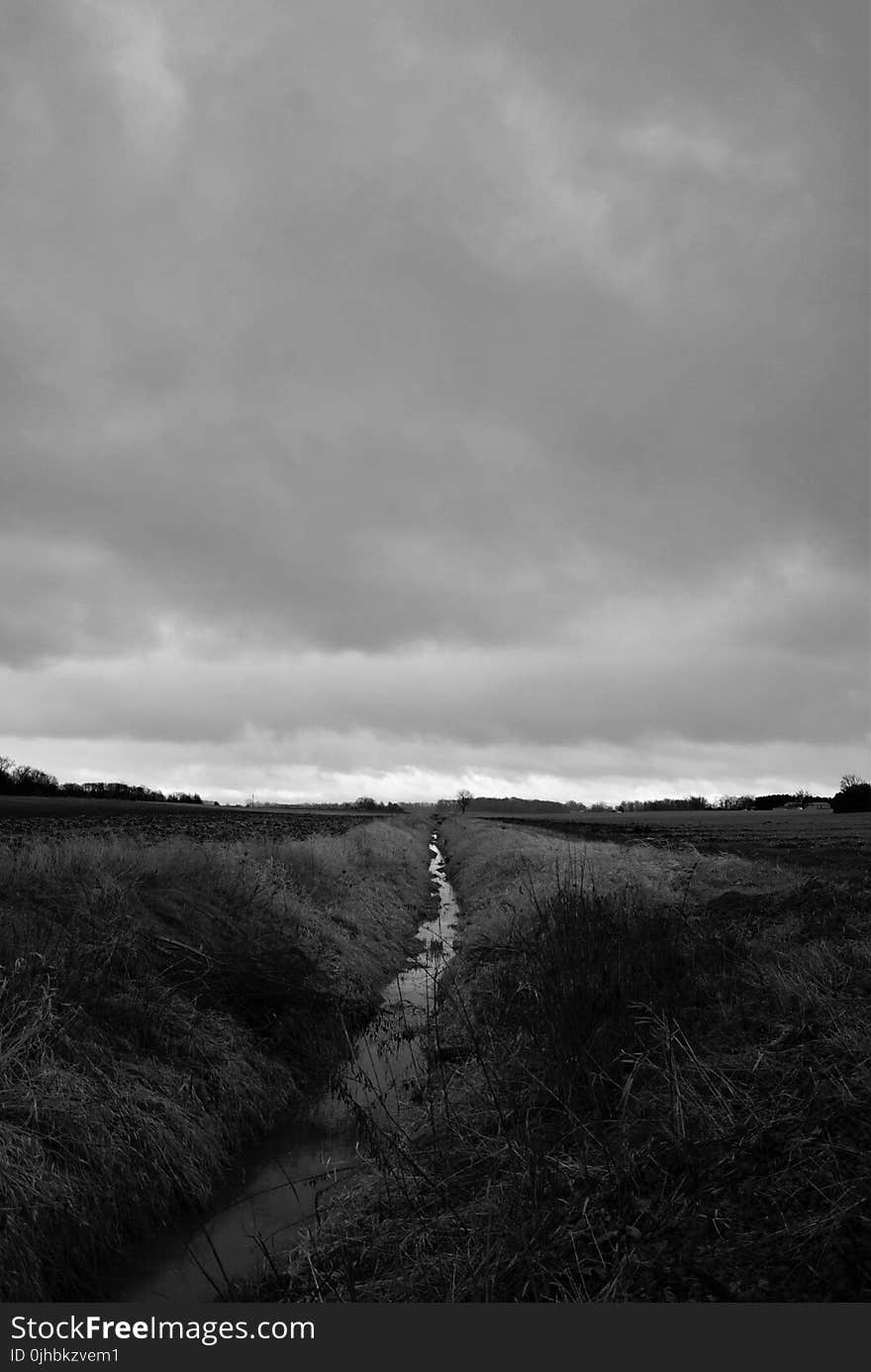 Grayscale Photo of Grass Field