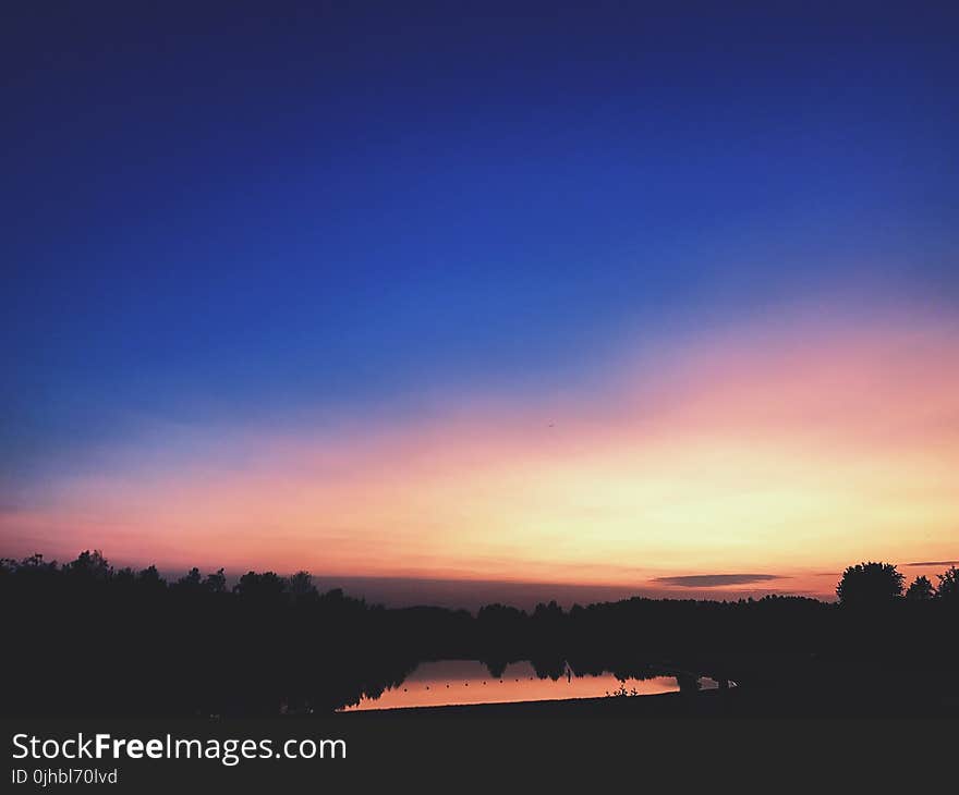 Silhouettes of Trees During Dawn