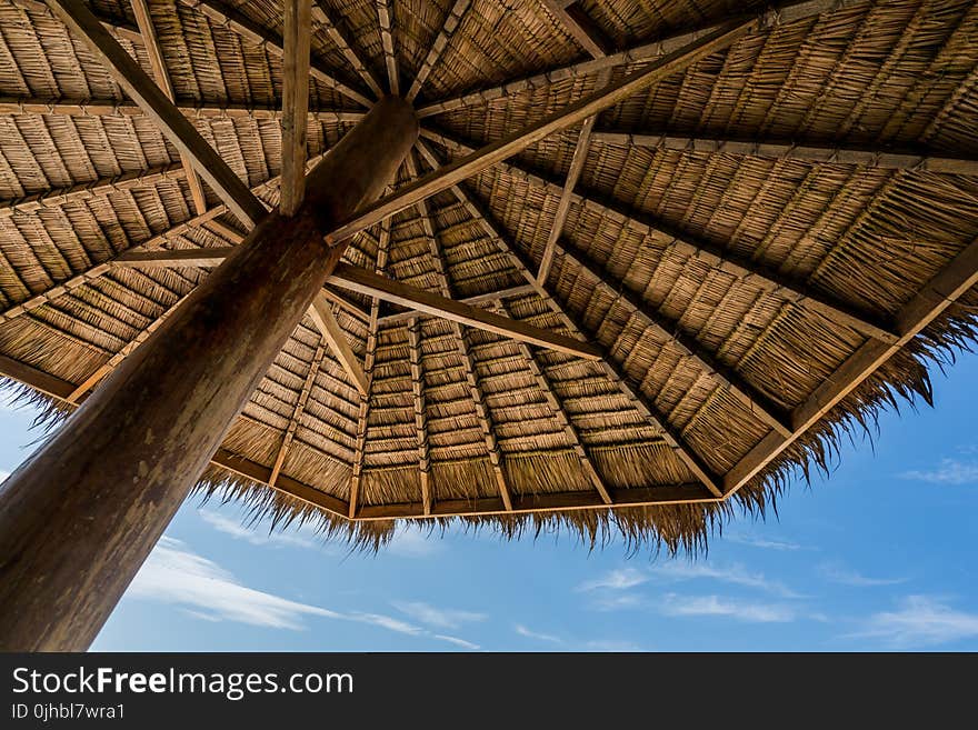 Low Angle Photography of Brown Coconut Hut