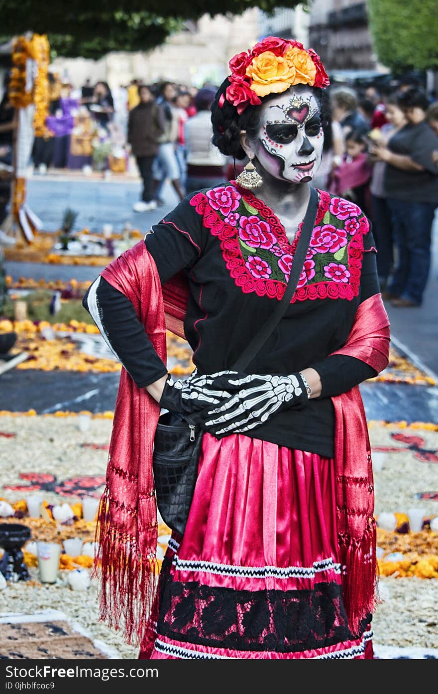 Photo of Woman Wearing Traditional Dress