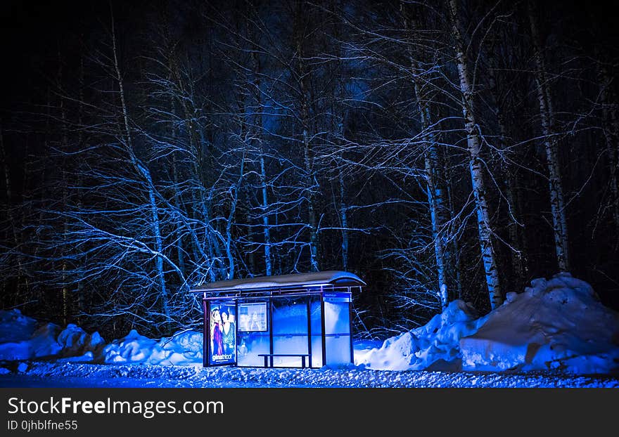 Photography of Bus Stop During Winter