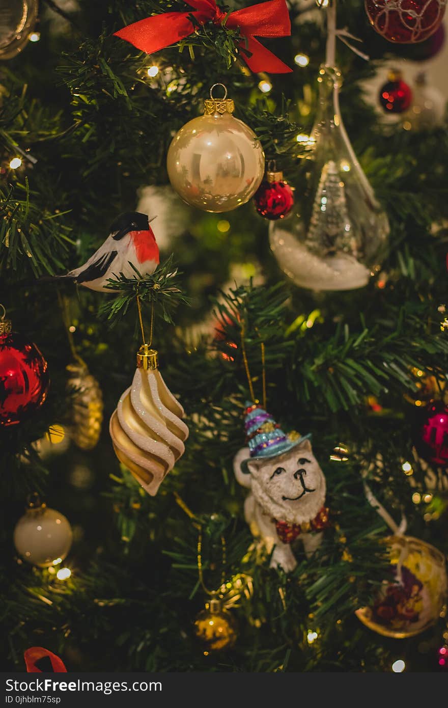 Assorted Ornaments on Christmas Tree