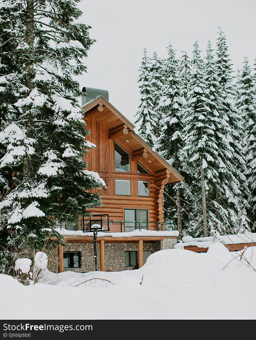 Photography of Brown House Surrounded by Trees Covered by Snow