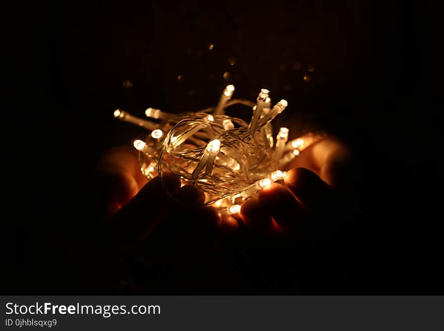 Person Holds White String Lights