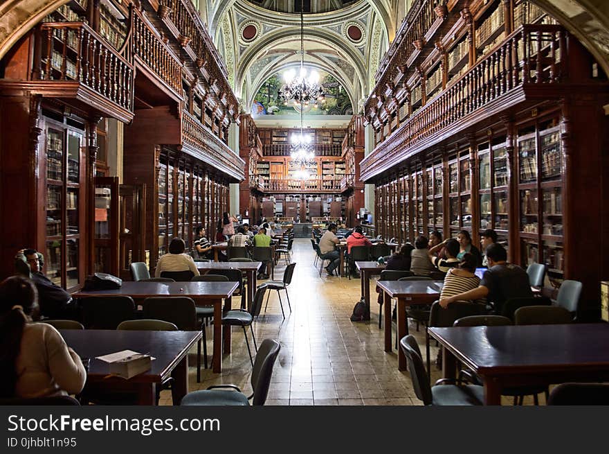 People at Library Sitting Down at Tables