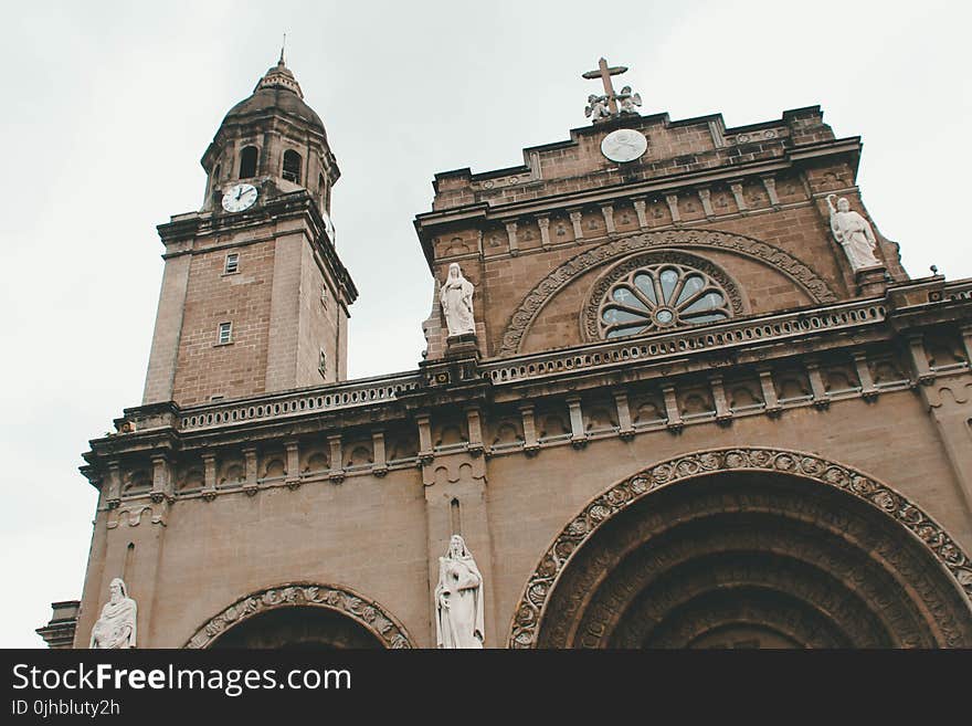 Brown Cathedral