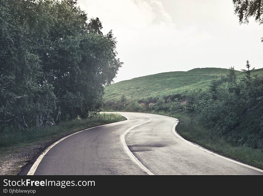 Photography of Asphalt Road Near Trees