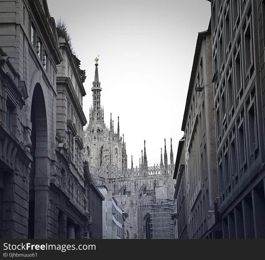 Grayscale Photo of Alley With Tower Background