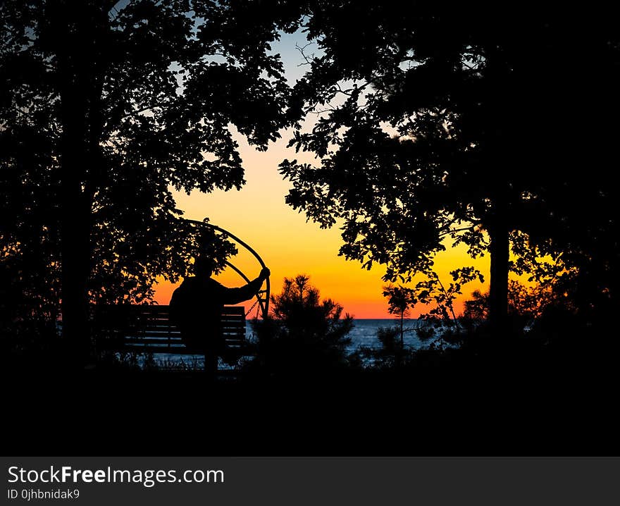 Photography of Silhouettes of Man and Trees