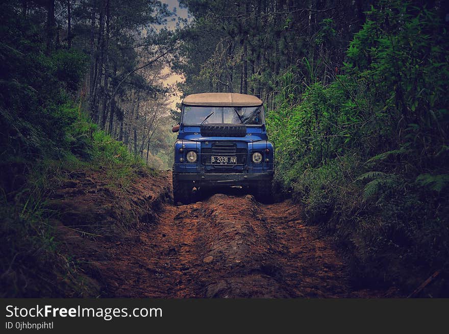 Blue Car on Dirt Road Between Green Leaf Trees