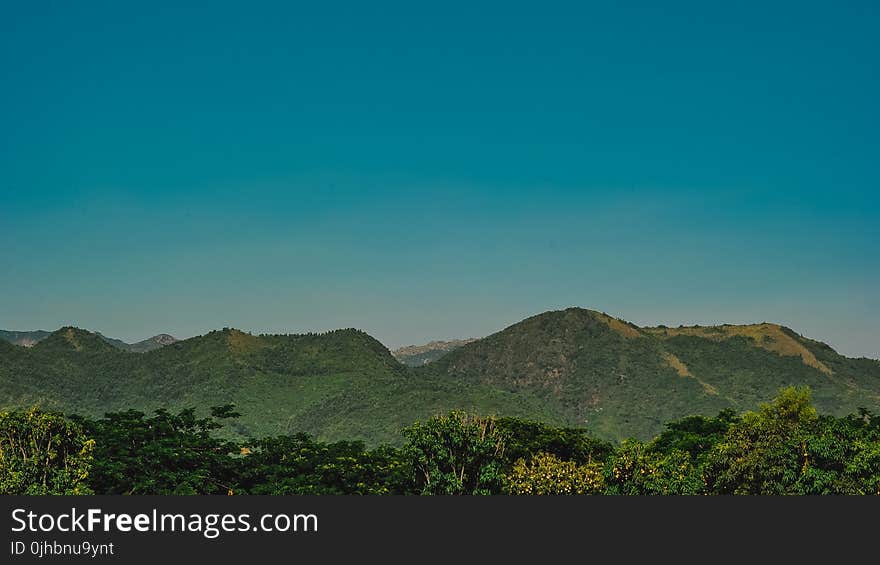 Photo of Forest Trees Near Mountains