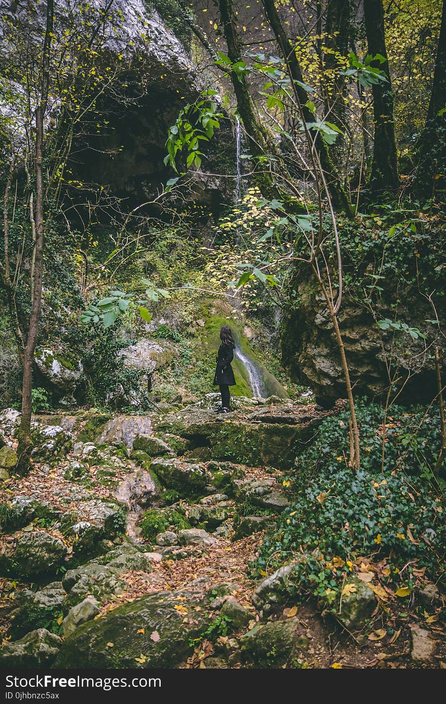 Woman Wearing Black Trench Coat in the Forest