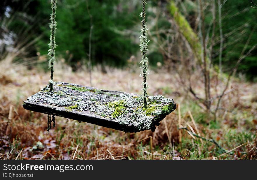 Brown Wooden Swing