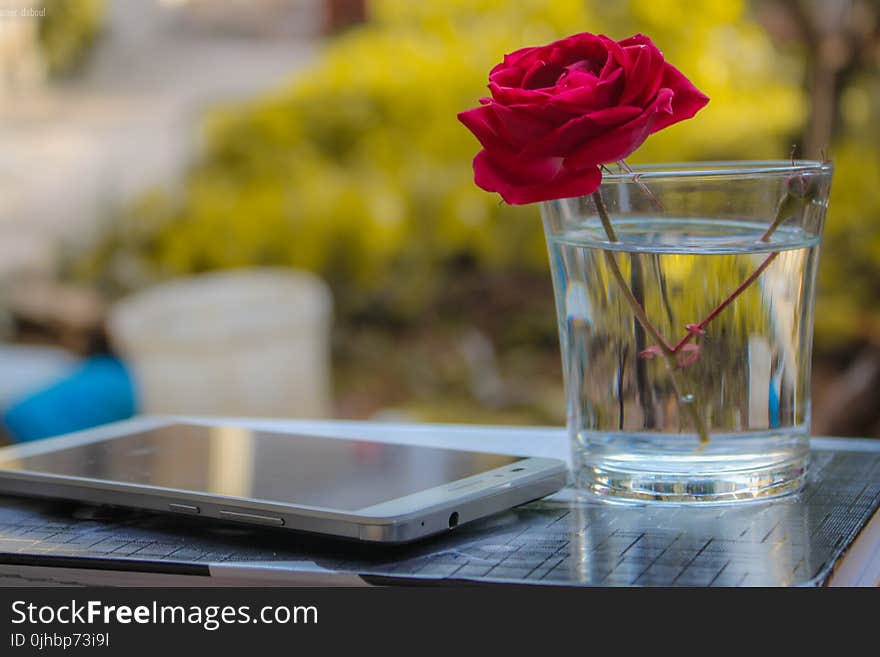 White Android Smartphone Near Clear Glass Vase With Red Rose